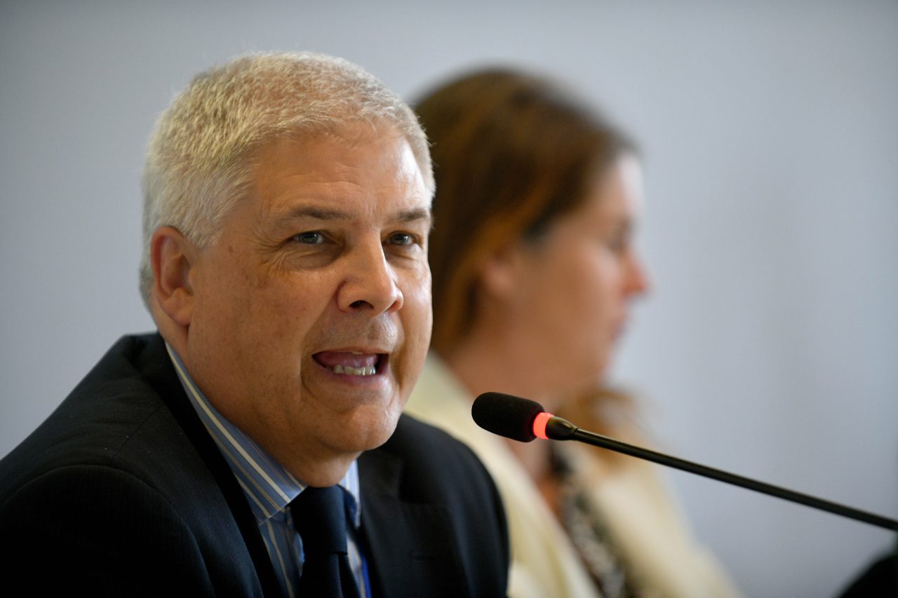 Roberto Luongo, Direttore generale ICE